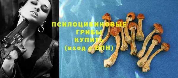 не бодяженный Армянск