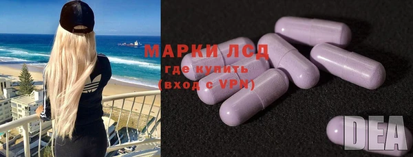 эйфоретик Аркадак