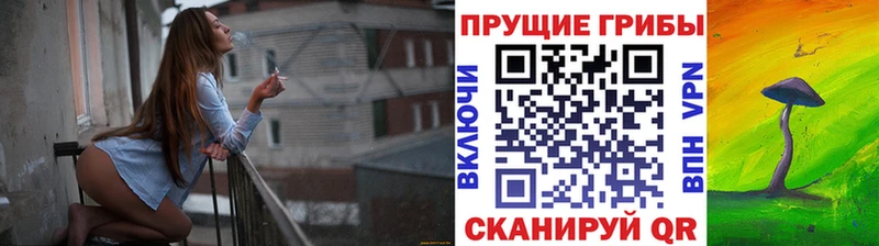 Купить закладки  Воскресенск  Псилоцибиновые грибы GOLDEN TEACHER 